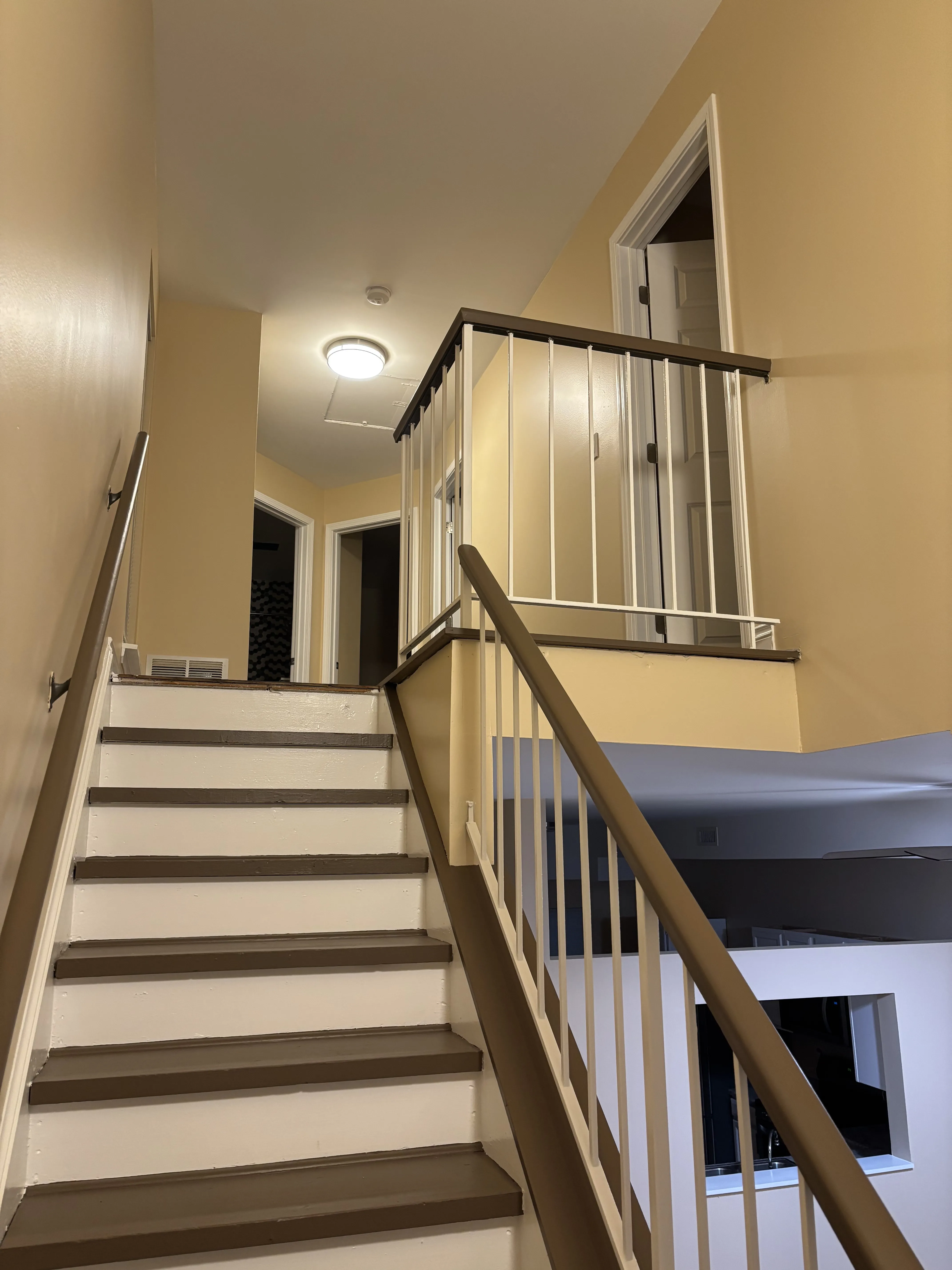 1741 W 18th Pl   60608 60608-Chicago-IL