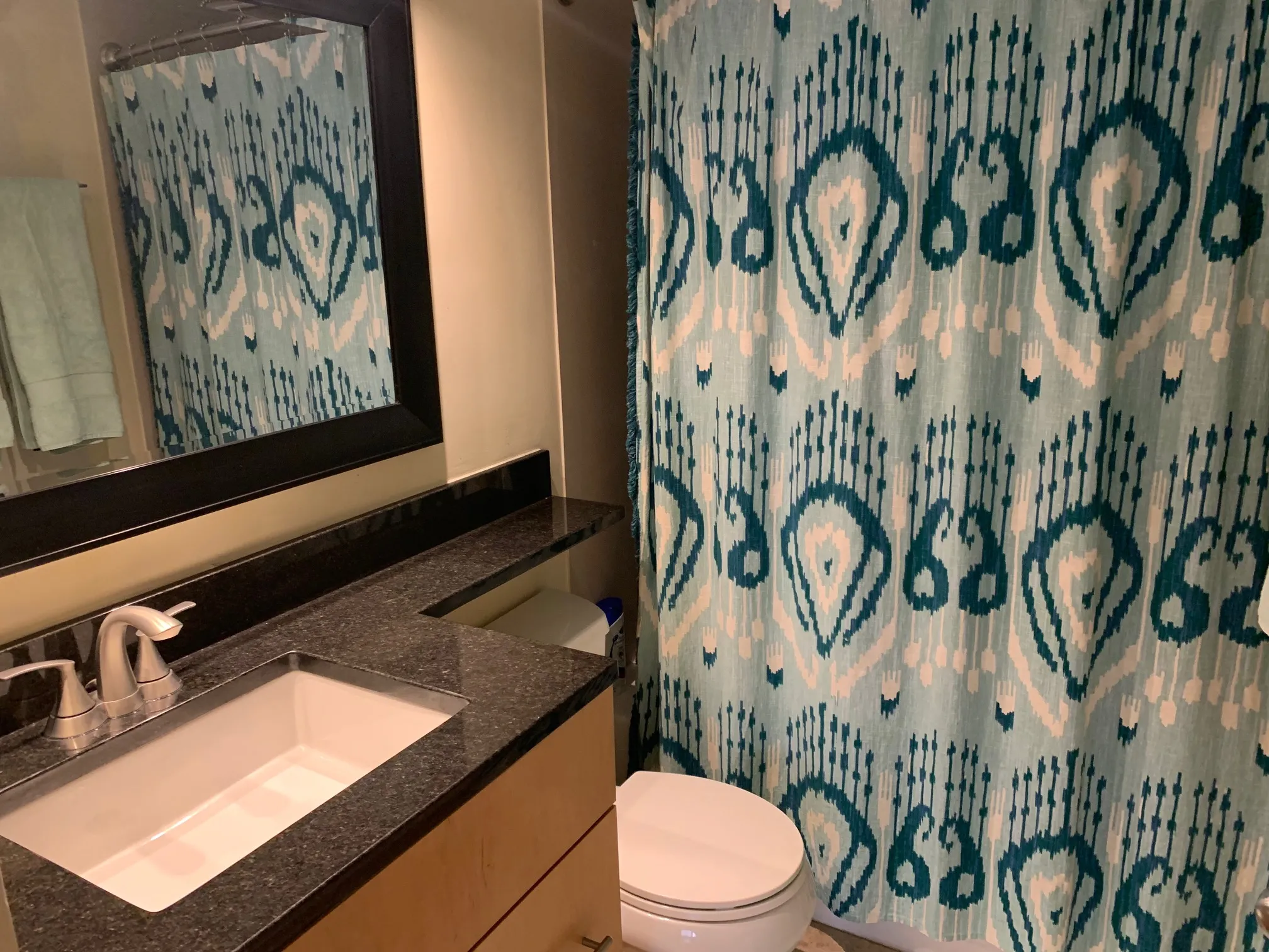 701 W Buckingham Pl 60657 60657-Buckingham Pews-unit#209-Chicago-IL