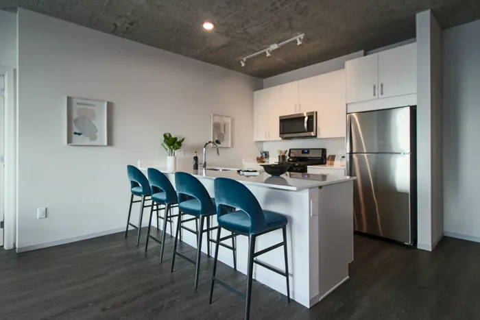 717 S Clark St   60605 60605-unit#1516-Chicago-IL