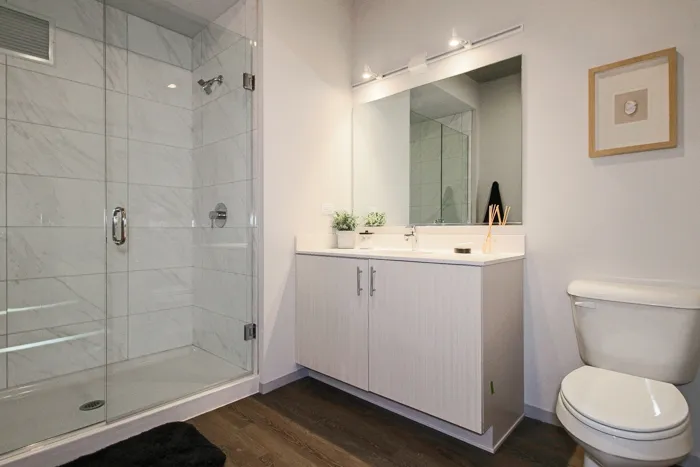 717 S Clark St   60605 60605-unit#1516-Chicago-IL