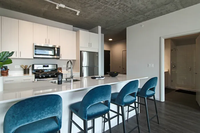 717 S Clark St   60605 60605-unit#1516-Chicago-IL