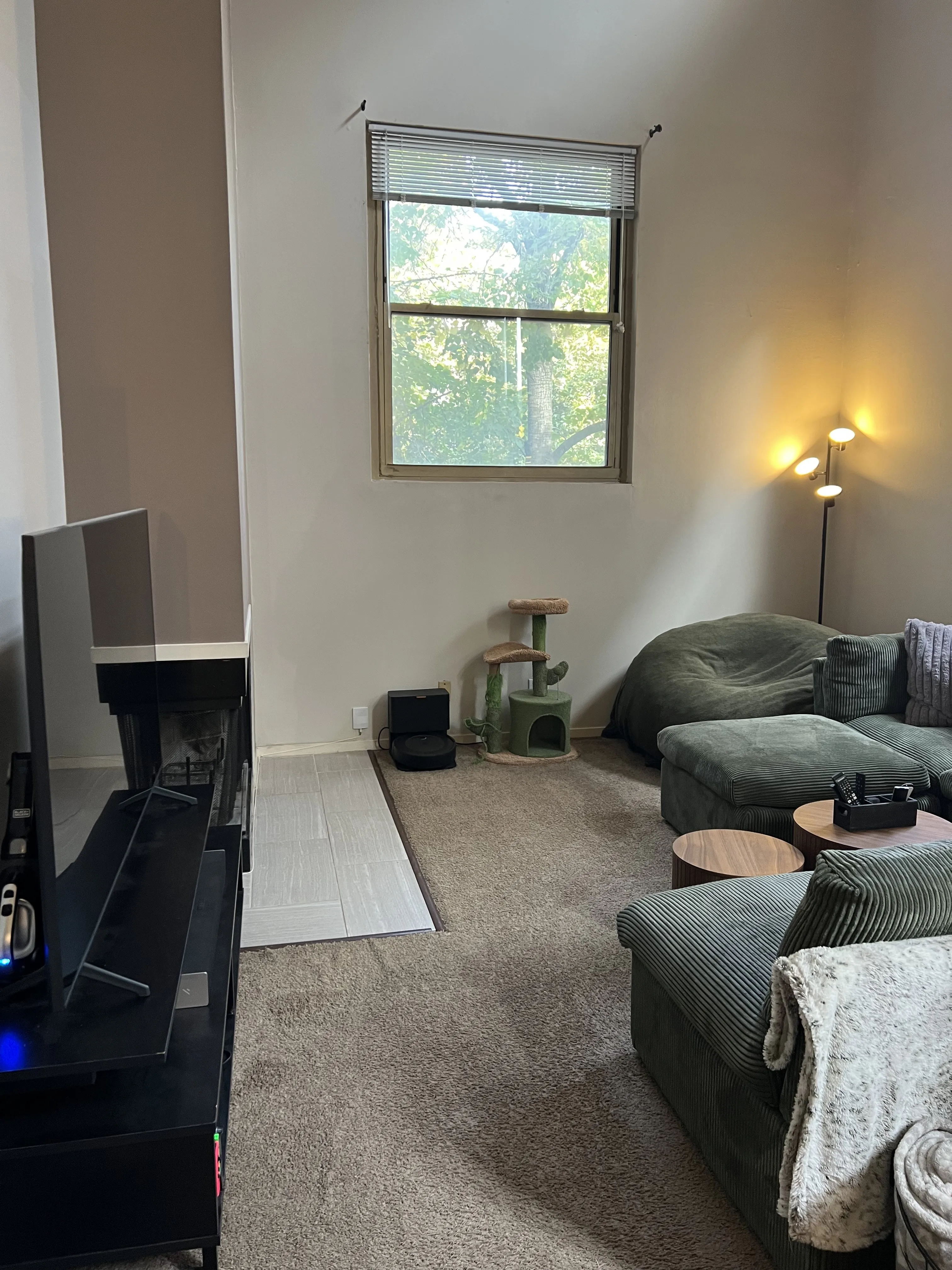 701 W Buckingham Pl 60657 60657-Buckingham Pews-unit#209-Chicago-IL