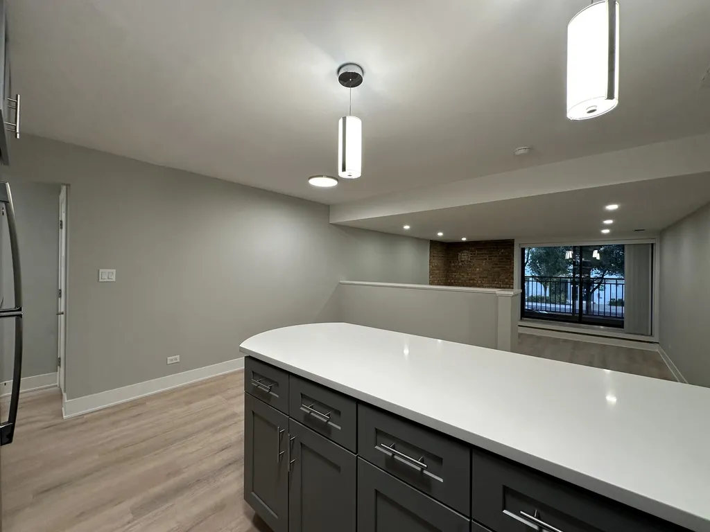 1220 N LaSalle, ,  60610 60610-unit#D3-Chicago-IL