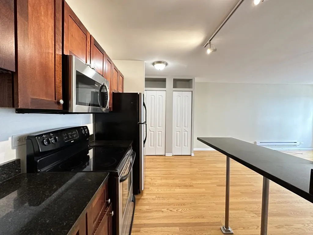4180 N Marine Drive, , 60613 60613-unit#1603-Chicago-IL