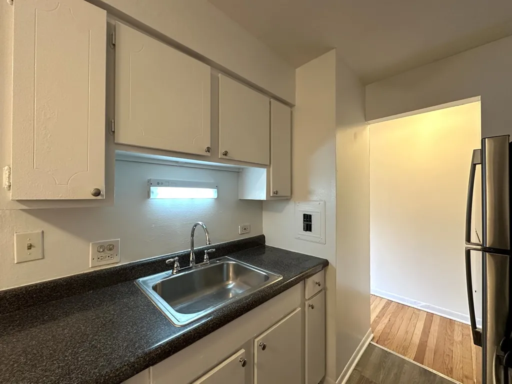 424 W Oakdale, ,  60657 60657-unit#301-Chicago-IL