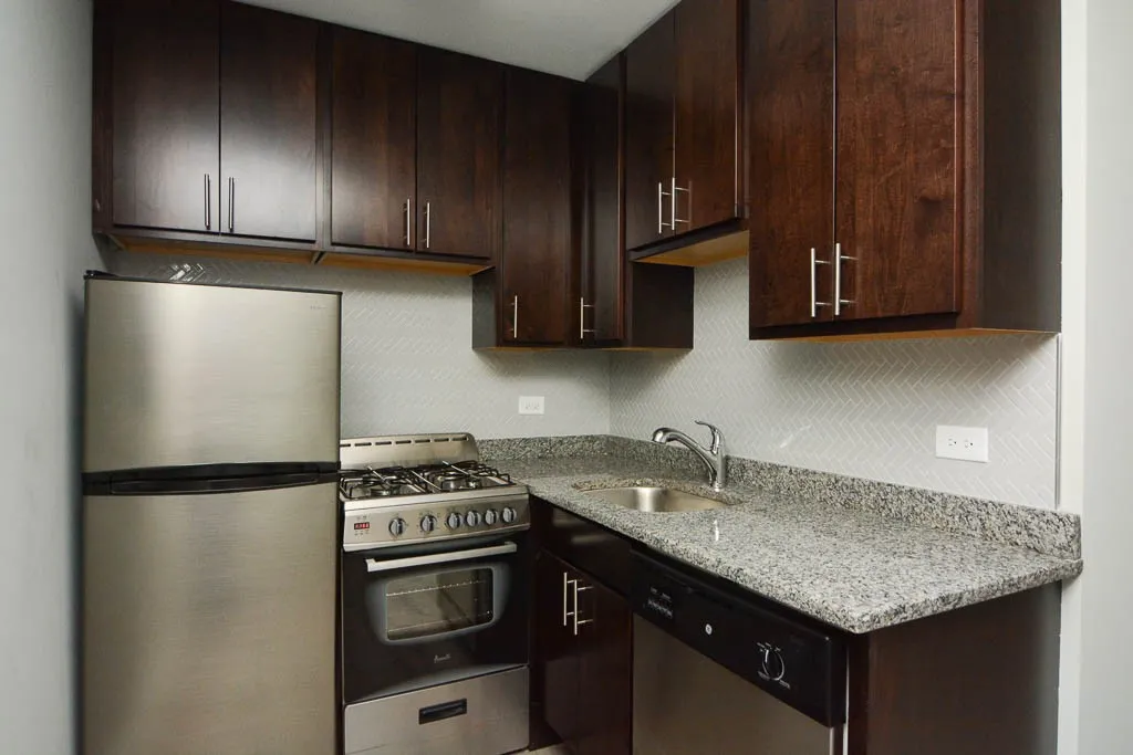 530 W Surf, , 60657 60657-unit#420-Chicago-IL