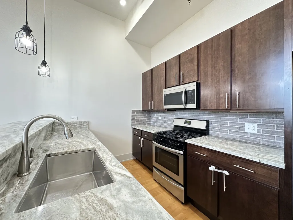 1432 W 21st Street, ,  60608 60608-unit#321-Chicago-IL