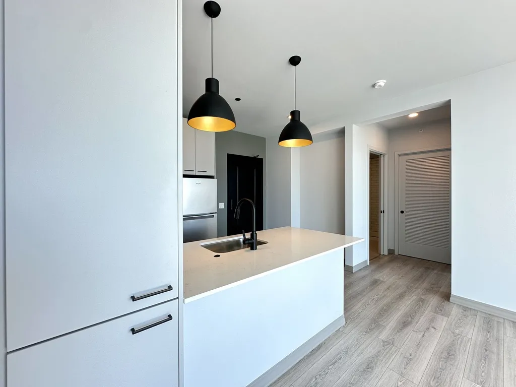 2155 N Elston, ,  60614 60614-unit#325-Chicago-IL