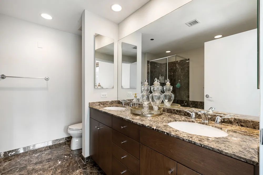 600 N Lake Shore Dr   60611 60611-unit#3102-Chicago-IL