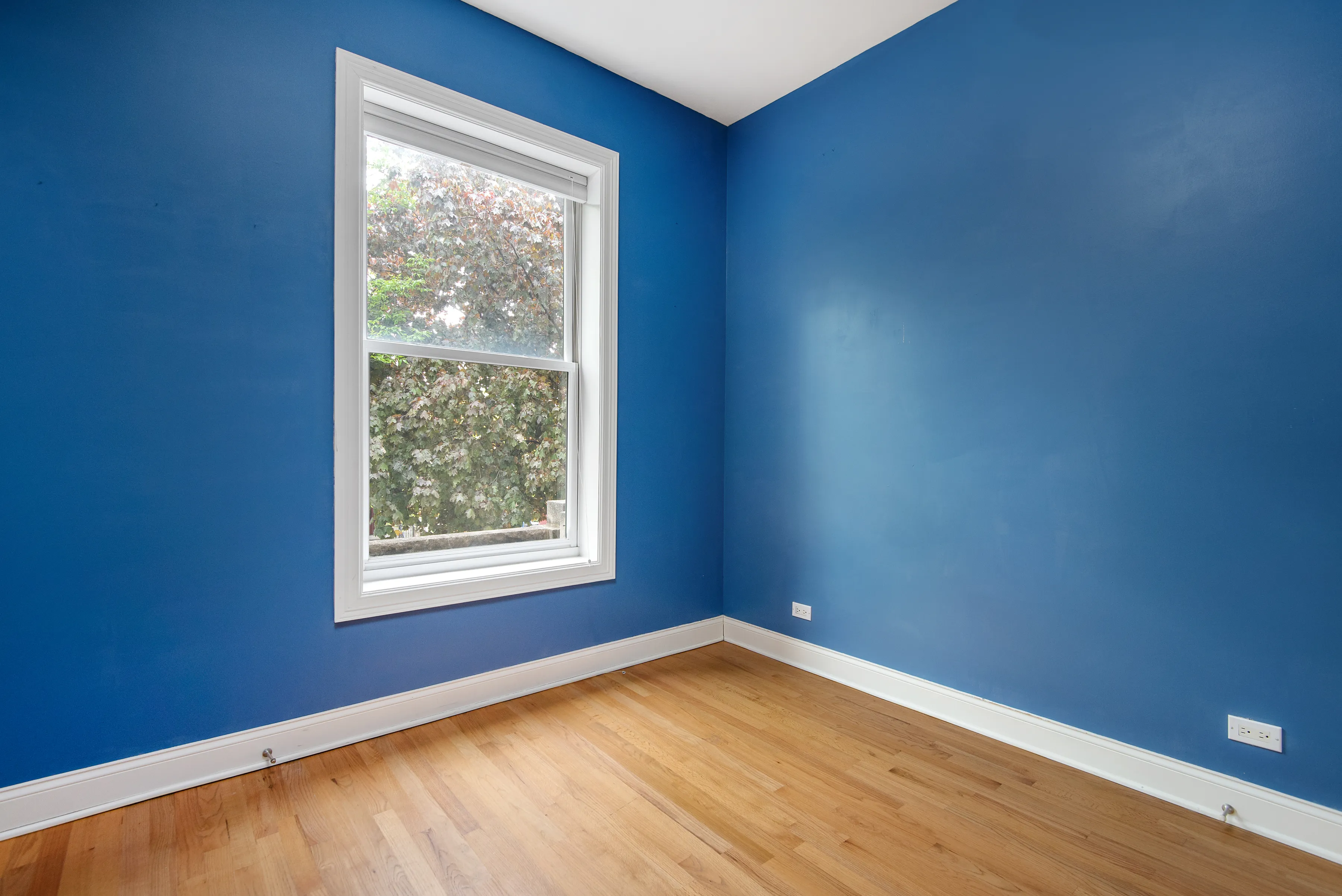 1140 W Oakdale Ave 60657 60657-unit#2-Chicago-IL