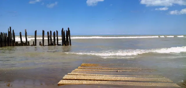 5654 N Ridge Ave 60660 60660-unit#1n-Chicago-IL