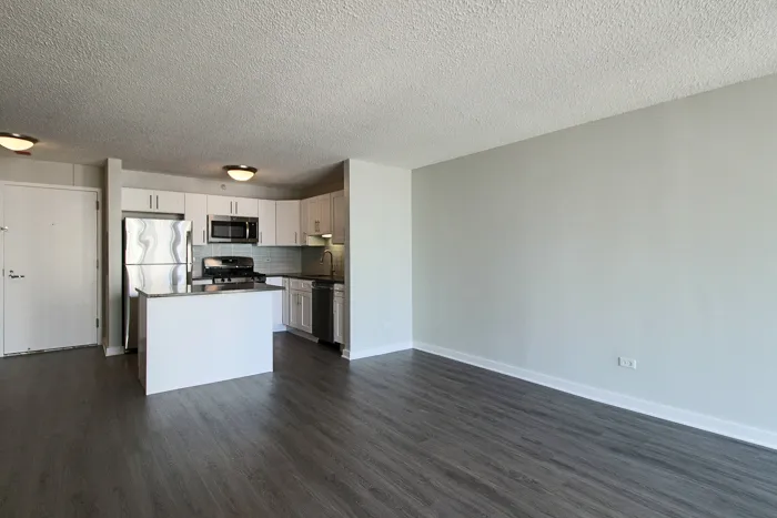 540 N Dearborn St 60610 60610-unit#2409-Chicago-IL