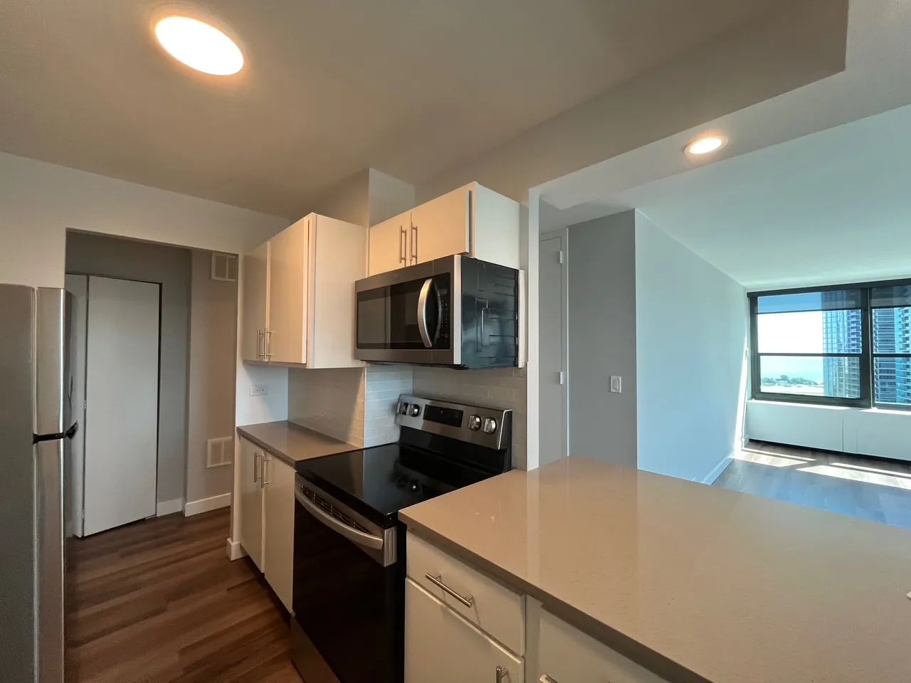 1130 S Michigan Ave   60605 60605-unit#3006-Chicago-IL