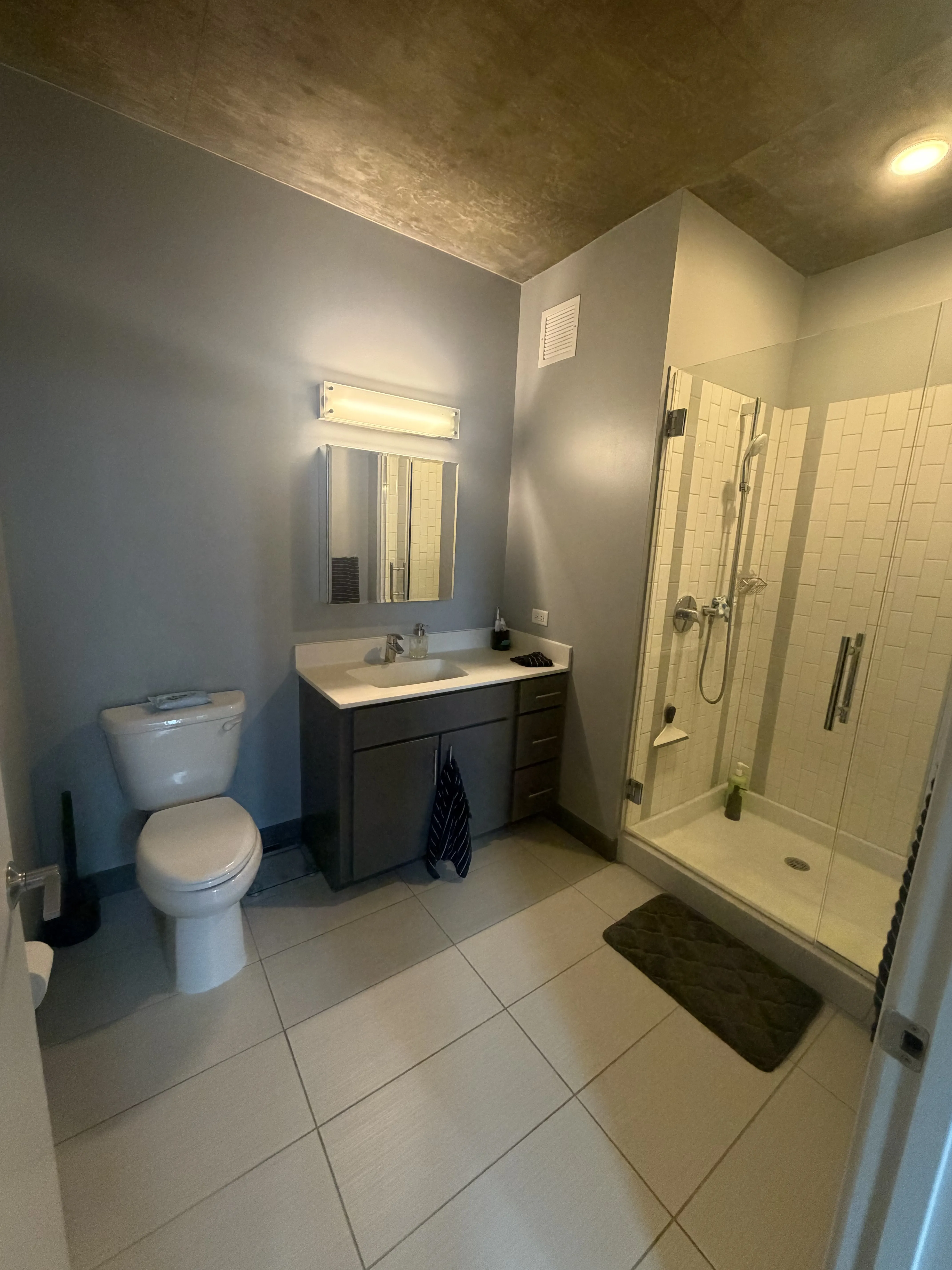 215 W Lake St   60606 60606-LINEA-unit#1410-Chicago-IL