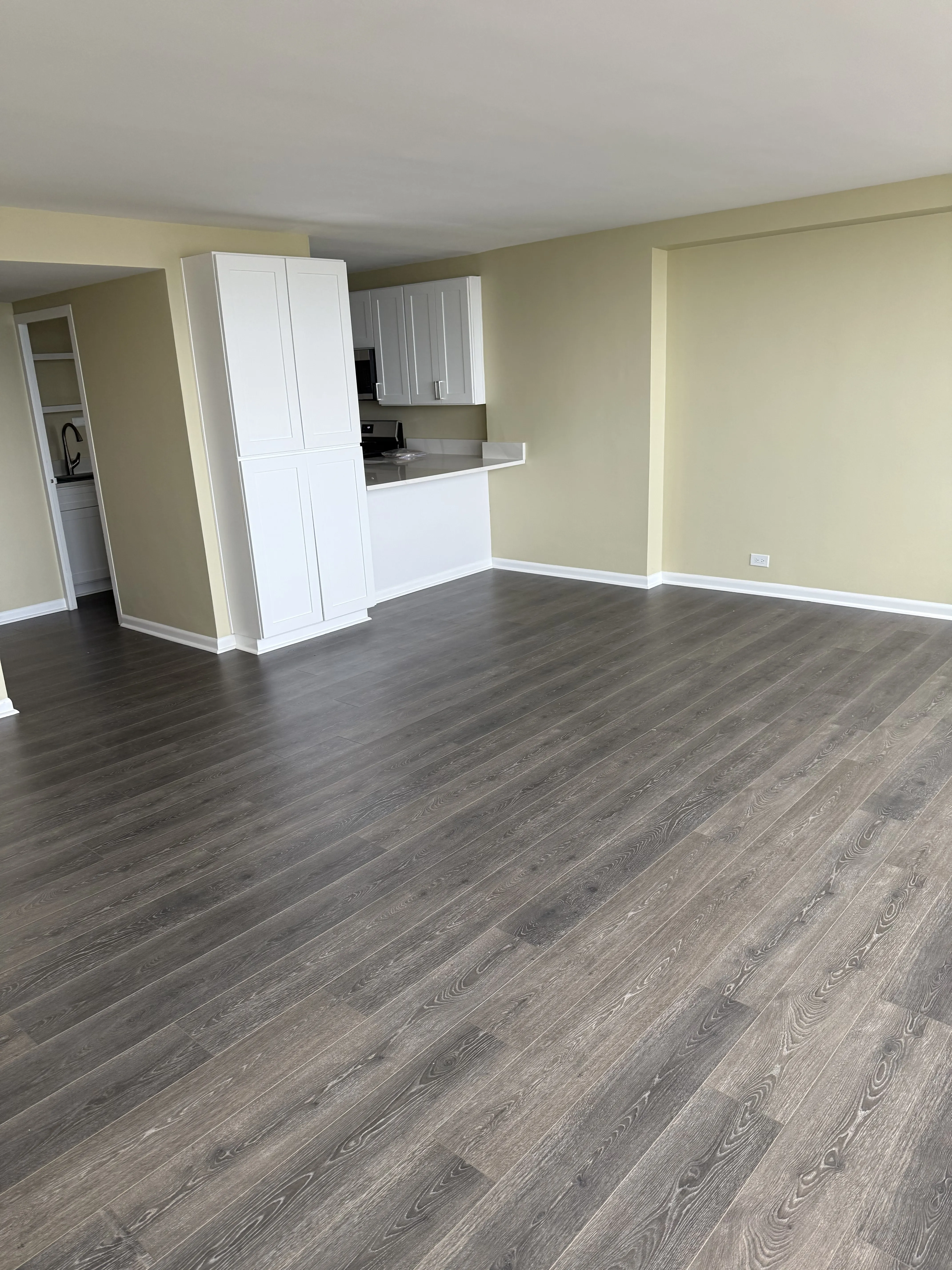 Lake Shore Dr 60657-unit#2005-Chicago-IL