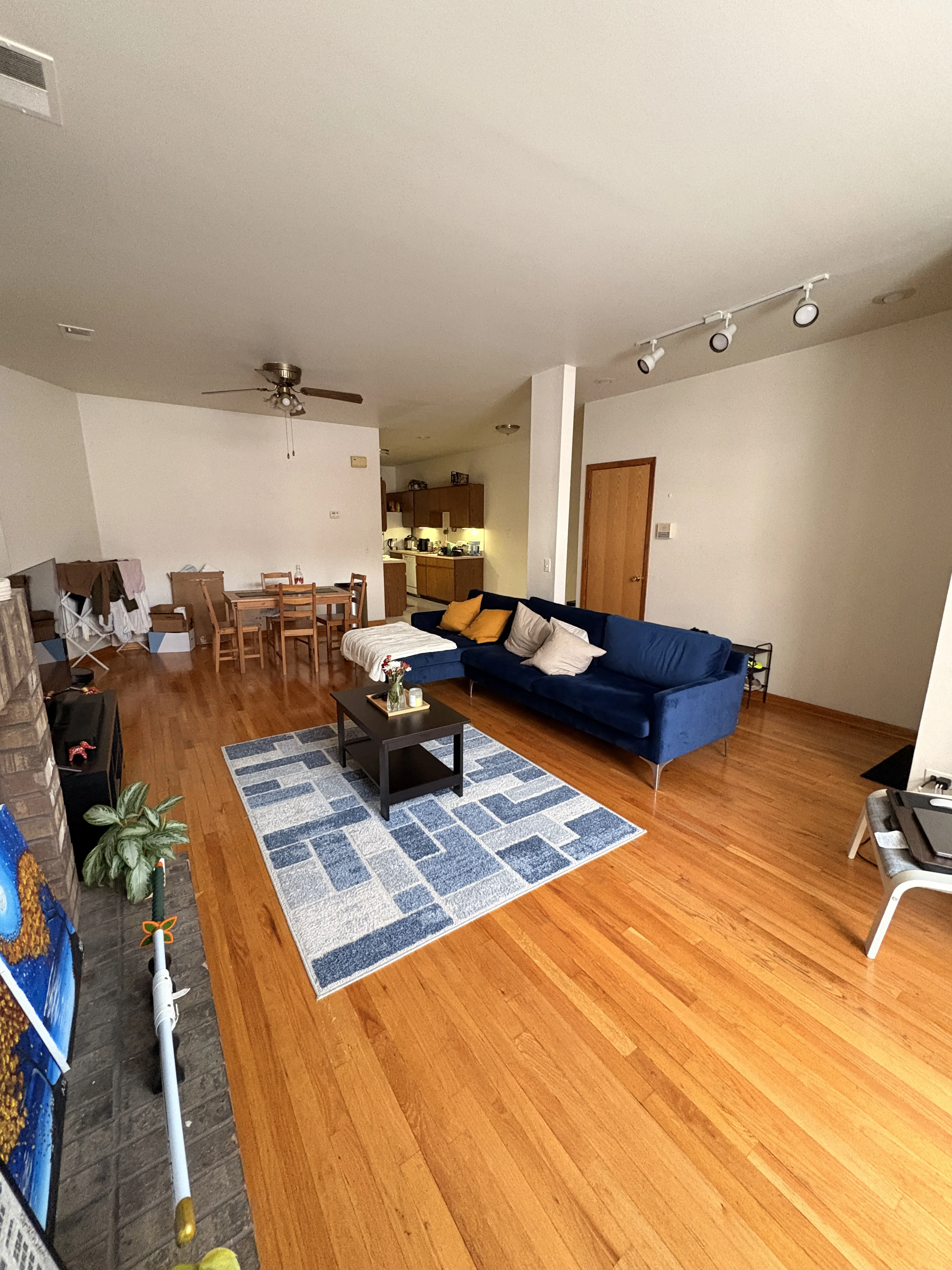 713 S Claremont Ave   60612 60612-Harris Point-Chicago-IL