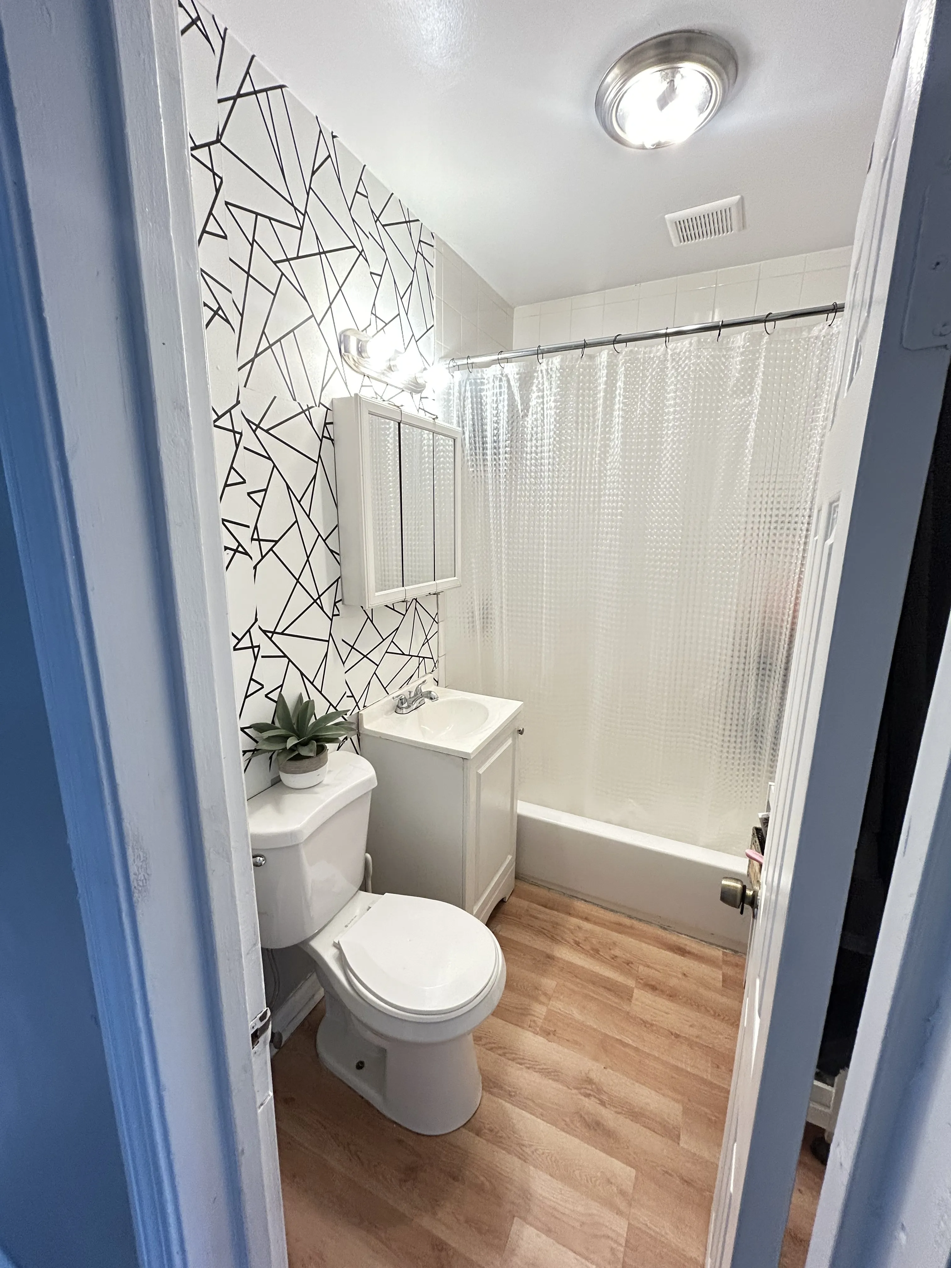 8213 S Houston Ave 60617 60617-unit#2-Chicago-IL