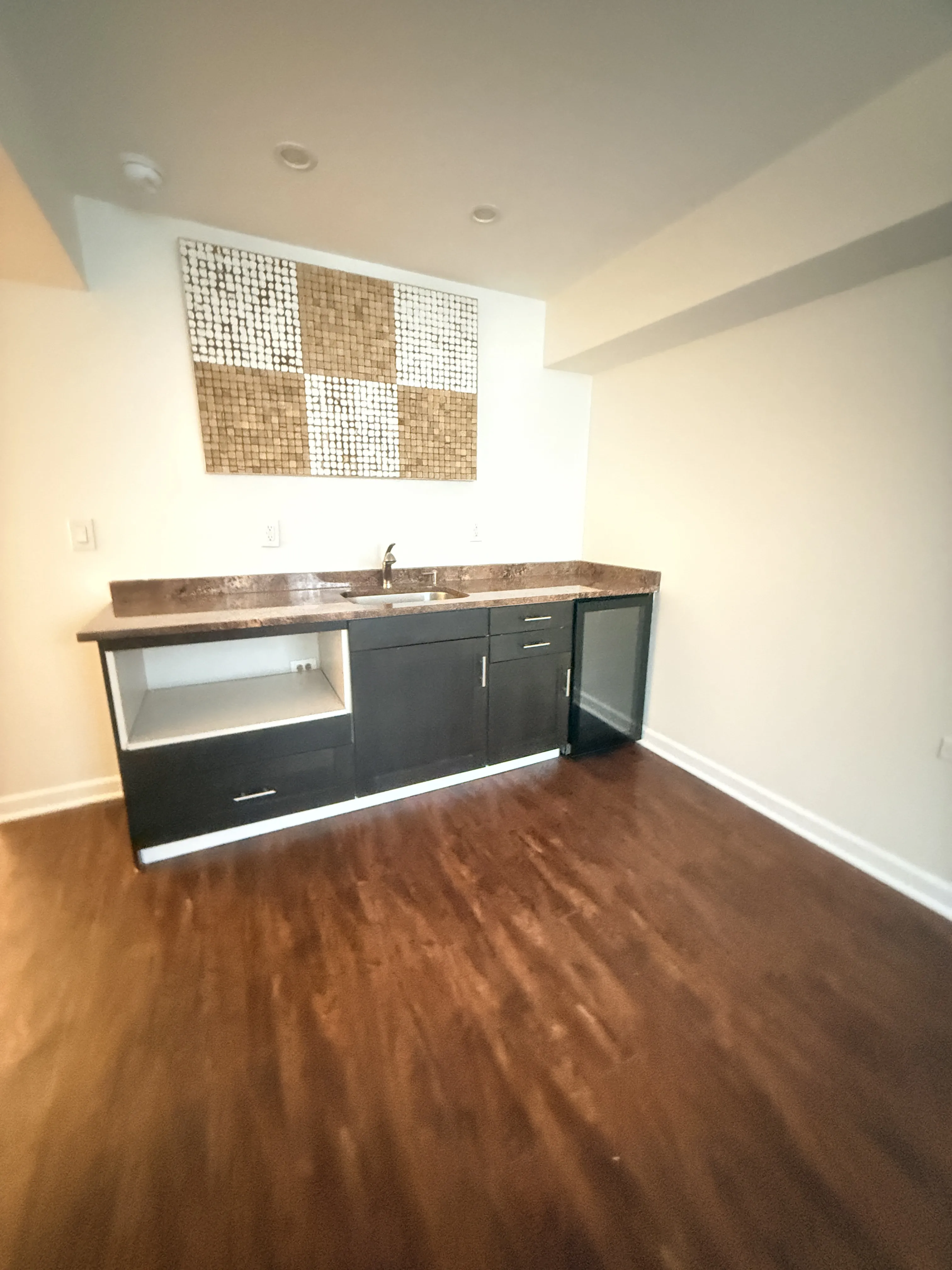 4734 S St Lawrence Ave   60615 60615-unit#1N-Chicago-IL
