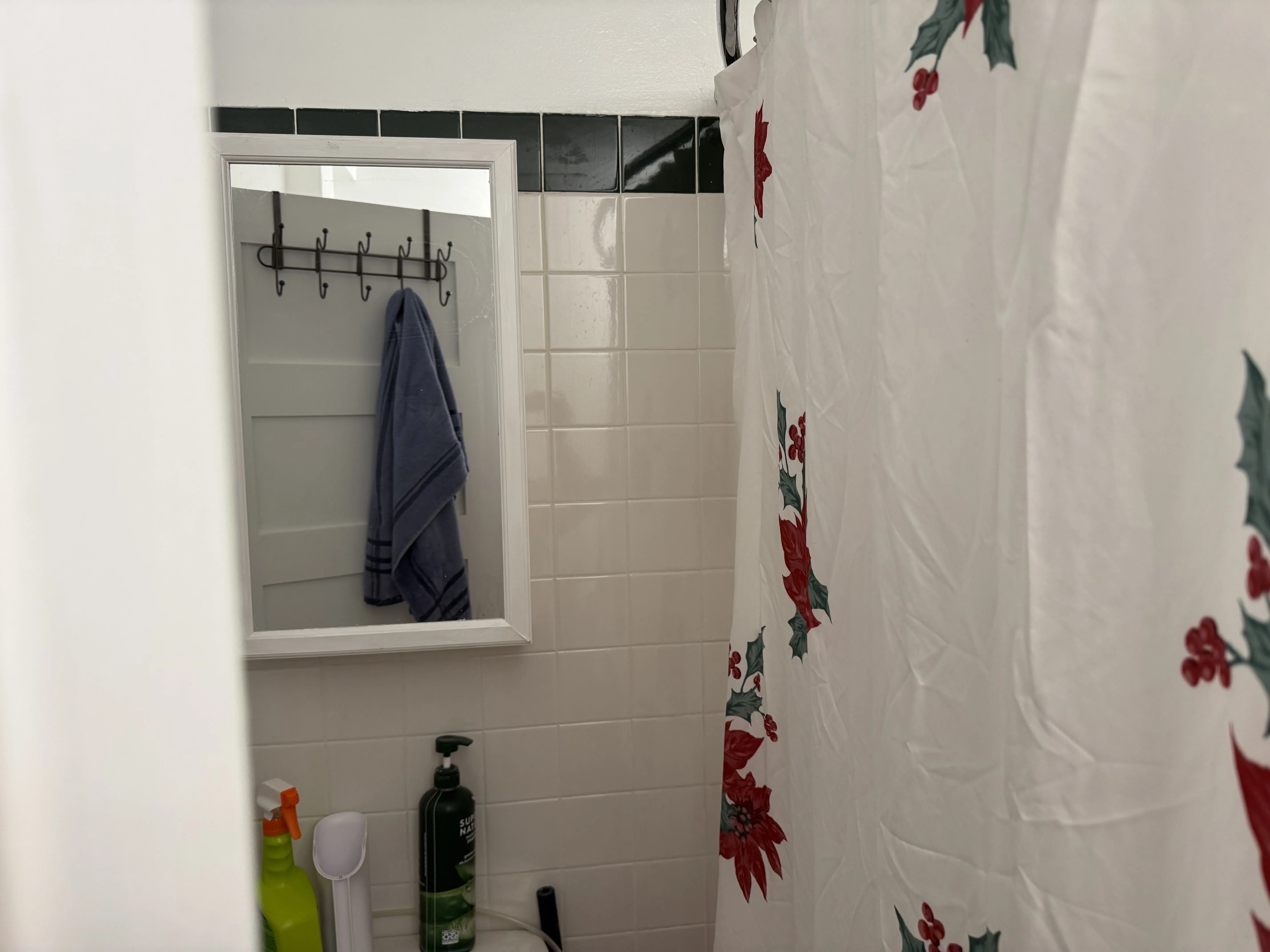 2025 W Granville Ave 60659 60659-Granville Court-unit#513-Chicago-IL