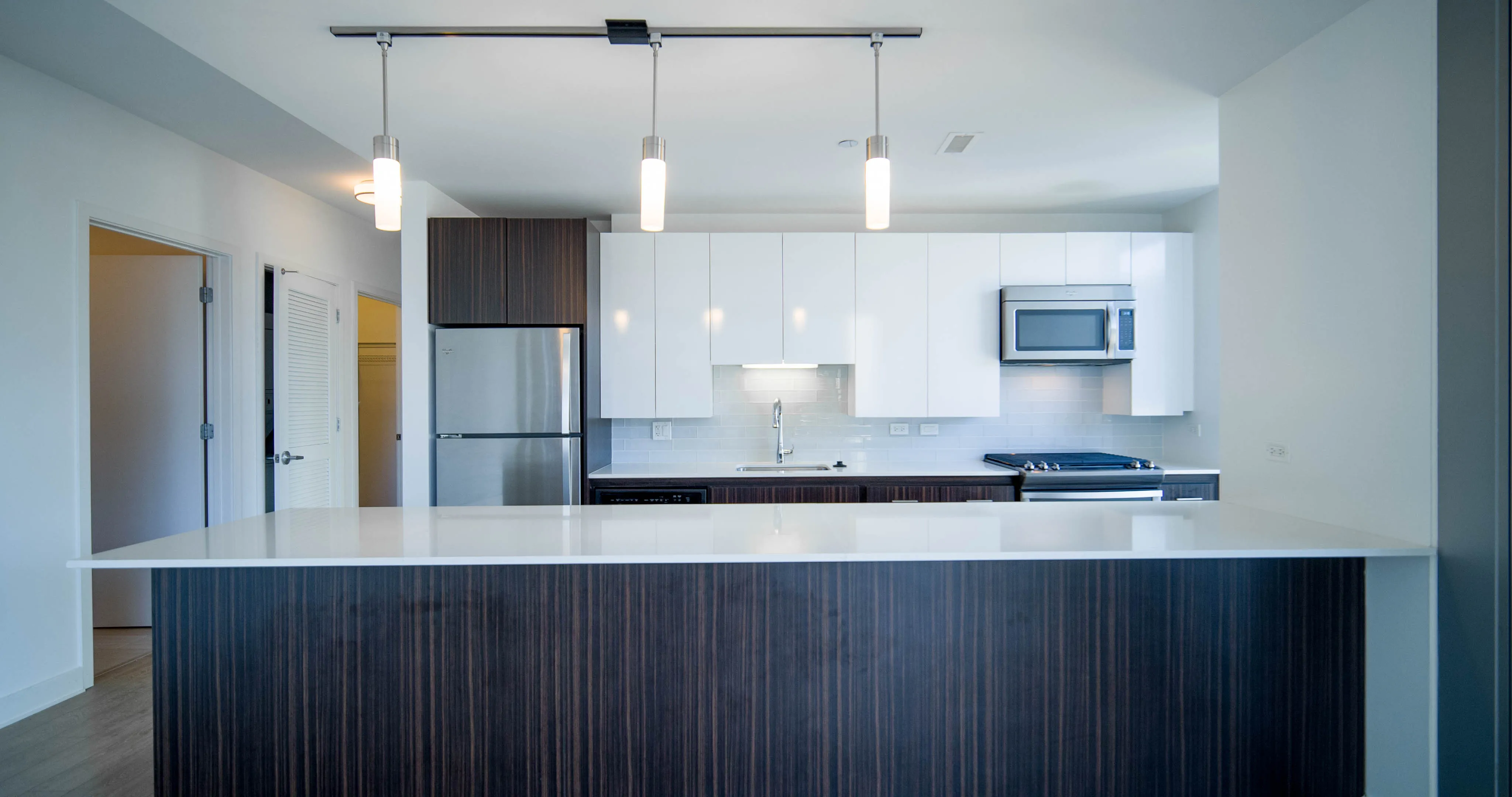 201 N Garland Ct   60601 60601-unit#910-Chicago-IL