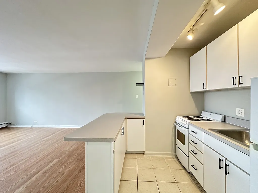 445 W Wellington, , 60657 60657-unit#10F-Chicago-IL