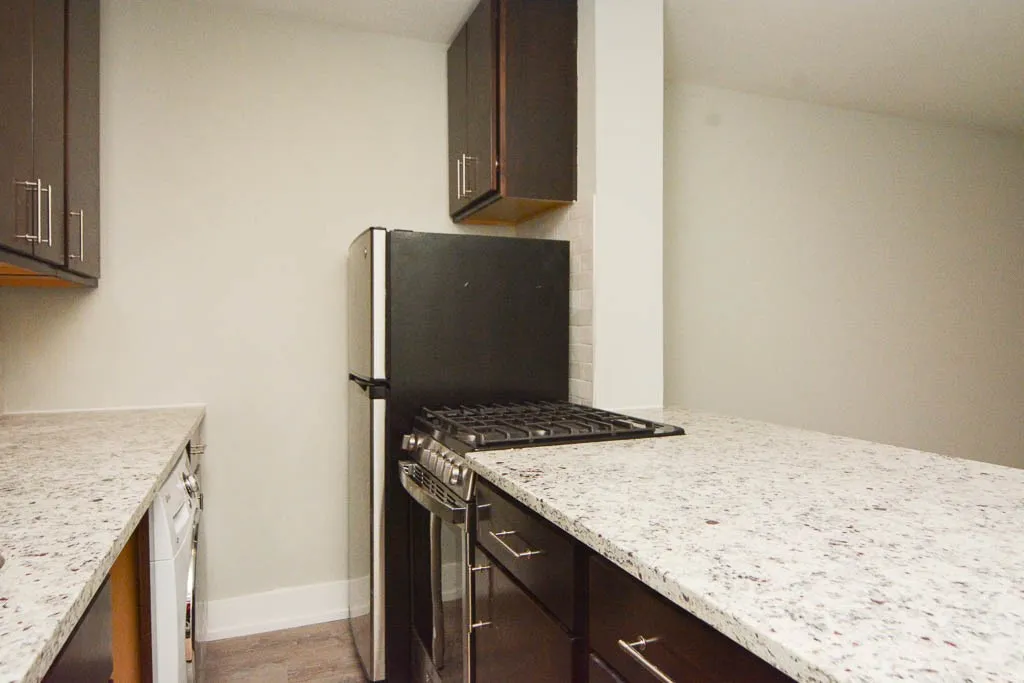 445 W Barry, , 60657 60657-unit#302-Chicago-IL