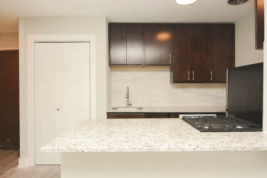 445 W Barry, , 60657 60657-unit#302-Chicago-IL