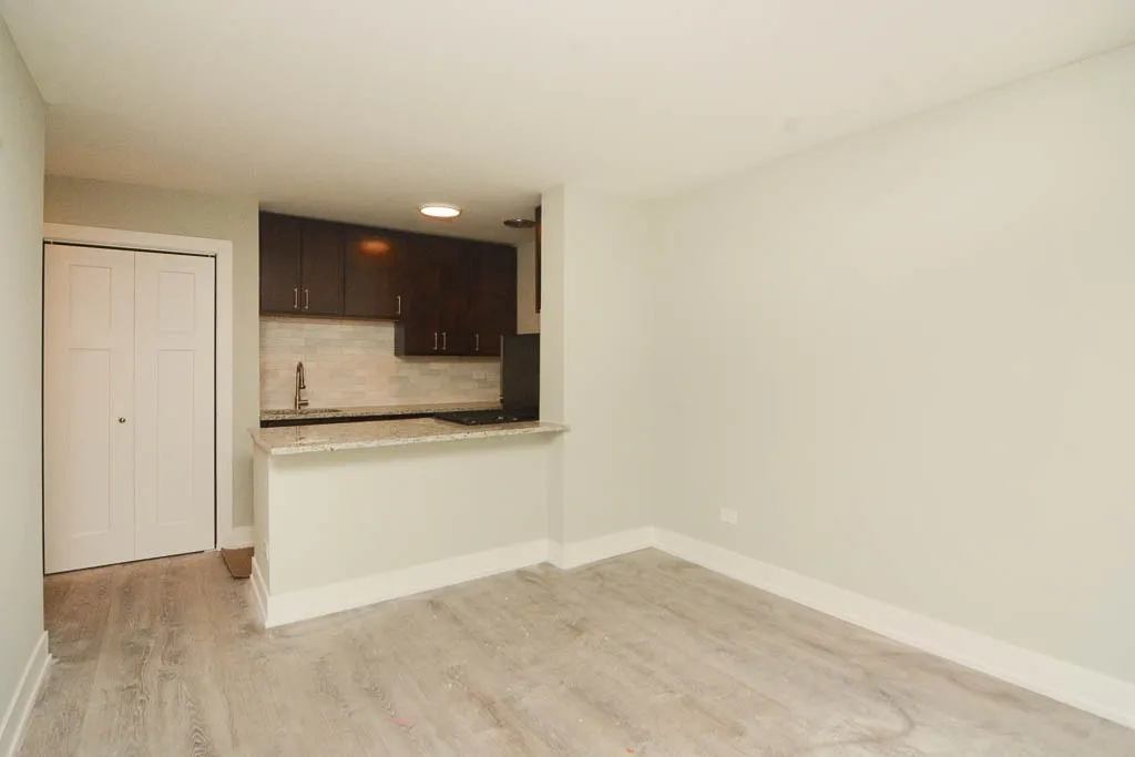 445 W Barry, , 60657 60657-unit#302-Chicago-IL