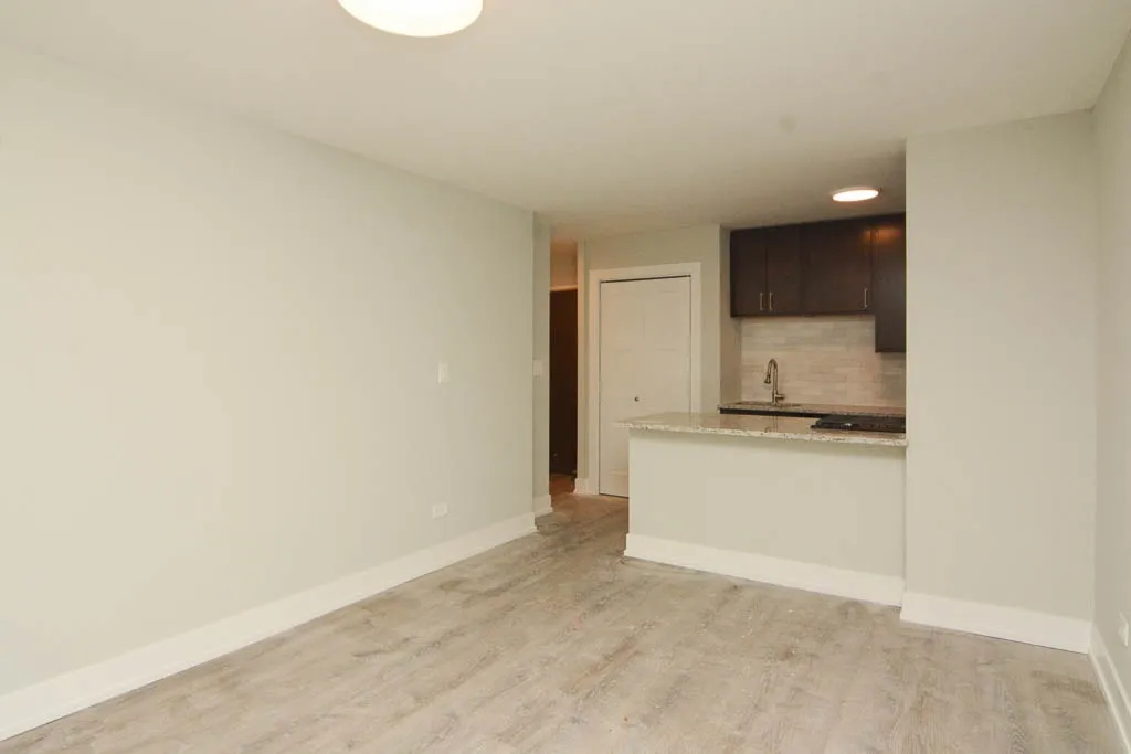 445 W Barry, , 60657 60657-unit#302-Chicago-IL