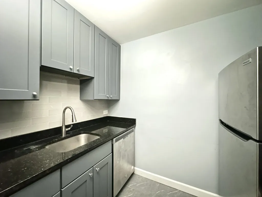 663 W Grace, , 60613 60613-unit#304-Chicago-IL