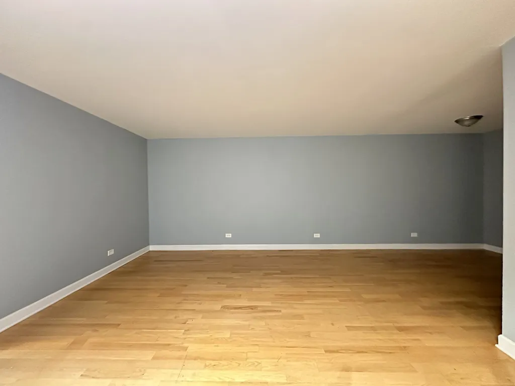 663 W Grace, , 60613 60613-unit#304-Chicago-IL