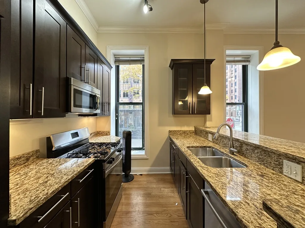 851 N LaSalle, ,  60610 60610-unit#S2-Chicago-IL