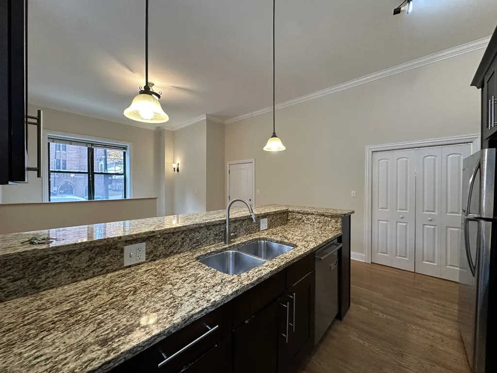 851 N LaSalle, ,  60610 60610-unit#S2-Chicago-IL