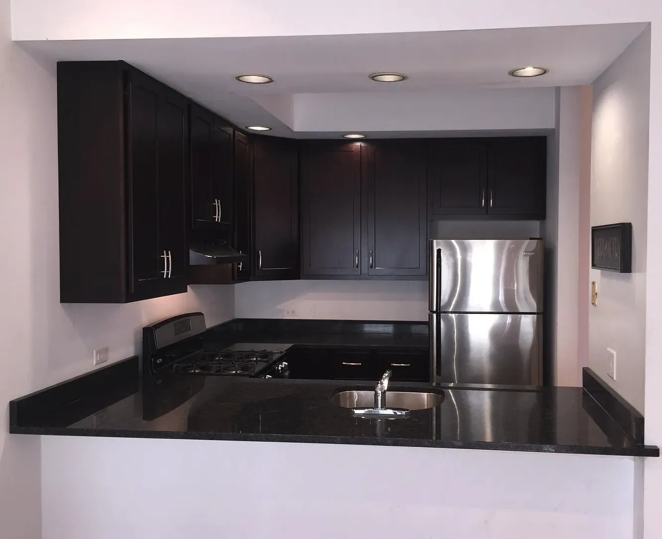 2529 N Marshfield Ave 60614 60614-unit#1-Chicago-IL