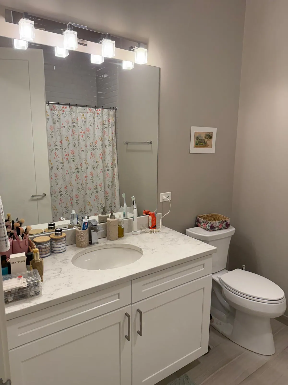 2050 N Clark St   60614 60614-Chicago-IL