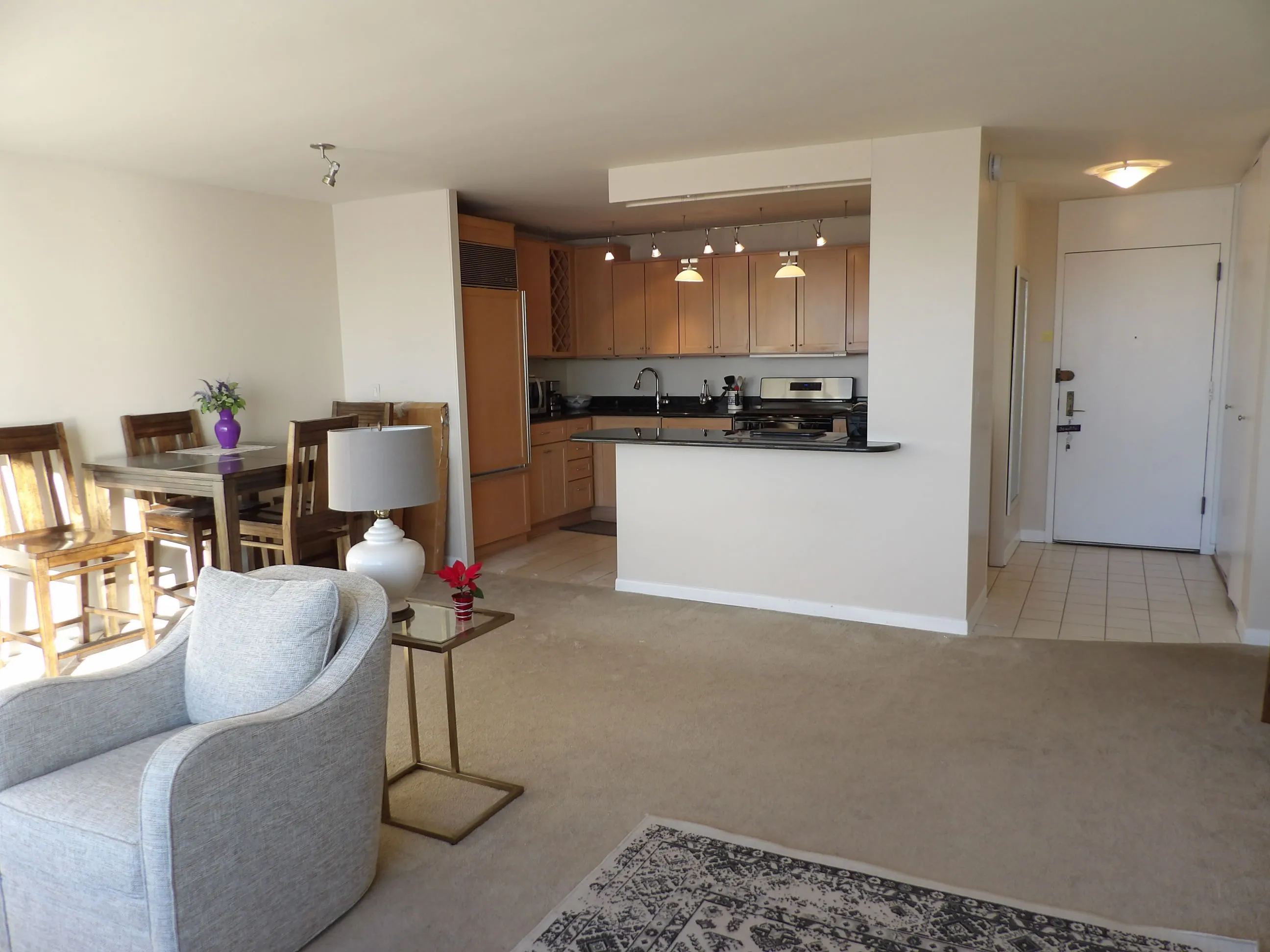 2800 N Lake Shore Dr 60657 60657-2800 N. Lake Shore Drive-unit#2804-Chicago-IL