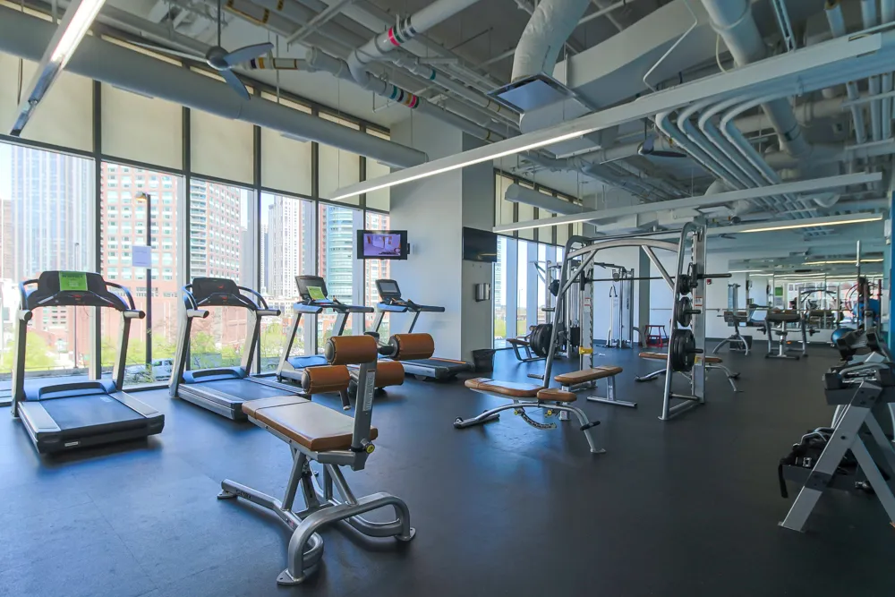 345 E Wacker Dr   60601 60601-unit#1106-Chicago-IL