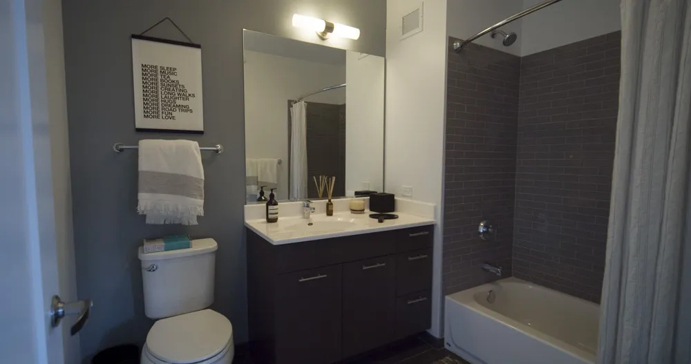 637 N Wells St 60654 60654-unit#1309-Chicago-IL