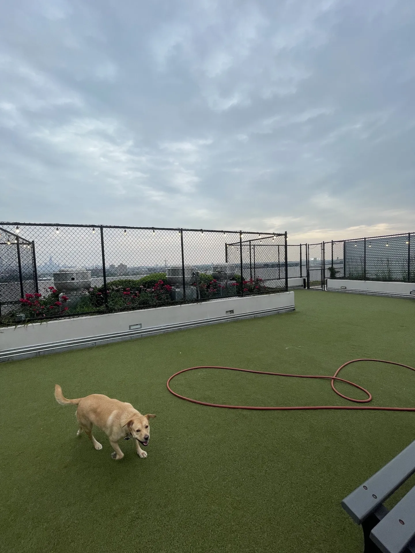 3740 N Halsted St   60613 60613-unit#415-Chicago-IL