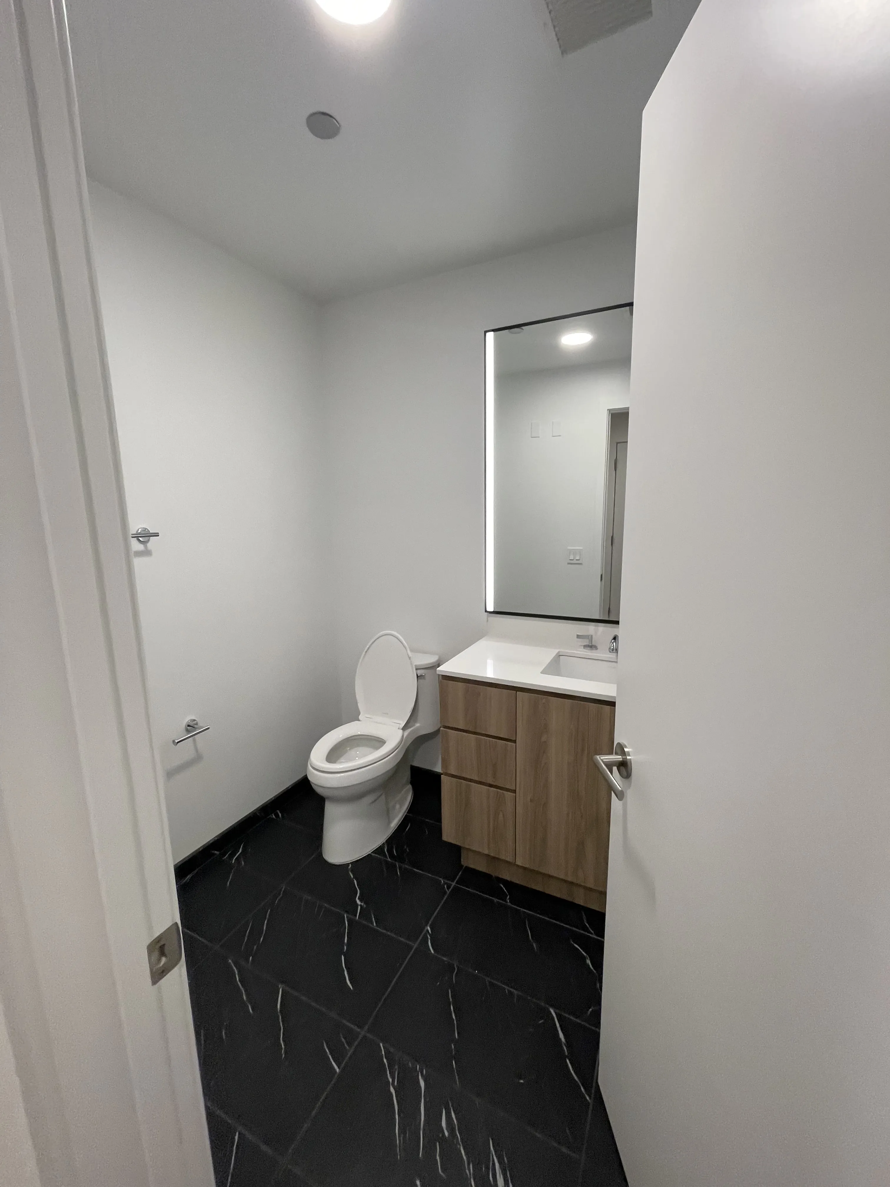 Michigan Ave 60605 60605-1000 M-unit#3203-Chicago-IL