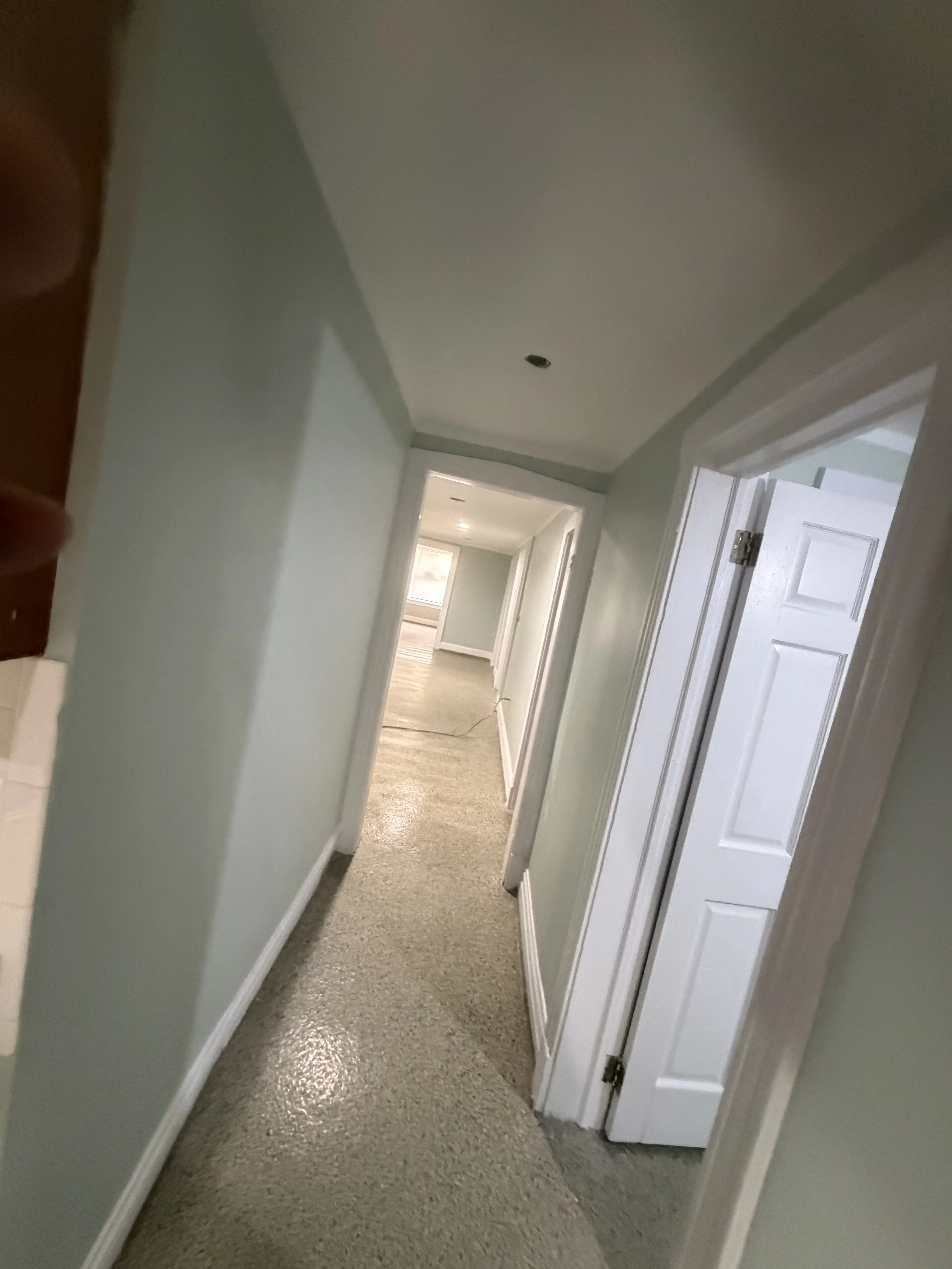 Little village 60623-unit#Garden-Chicago-IL