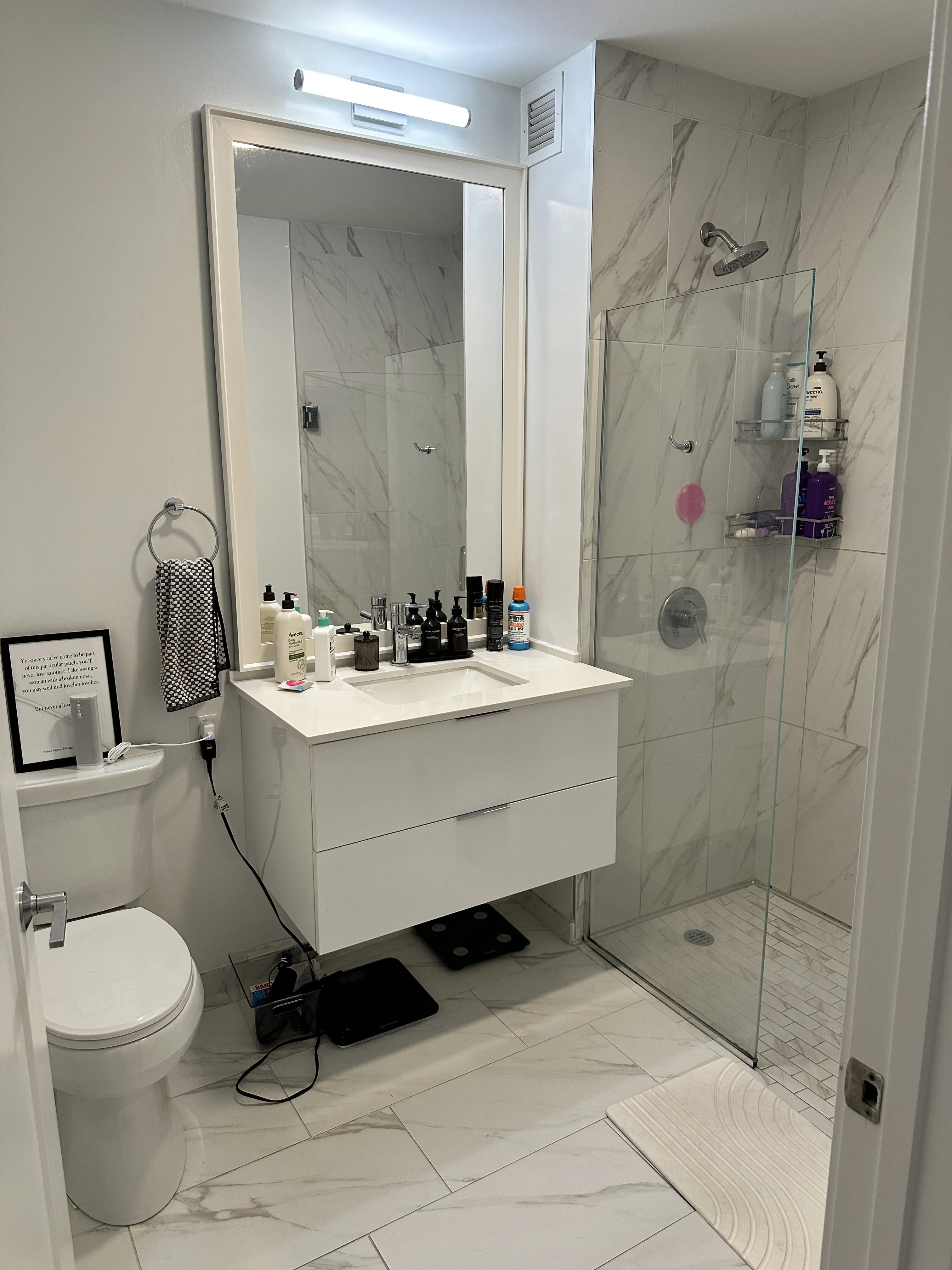 2335 N Lincoln Ave   60614 60614-Lincoln Common-unit#1713-Chicago-IL