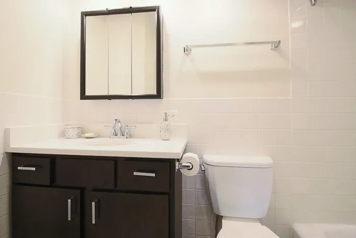 200 E Chestnut St   60611 60611-unit#1422-Chicago-IL