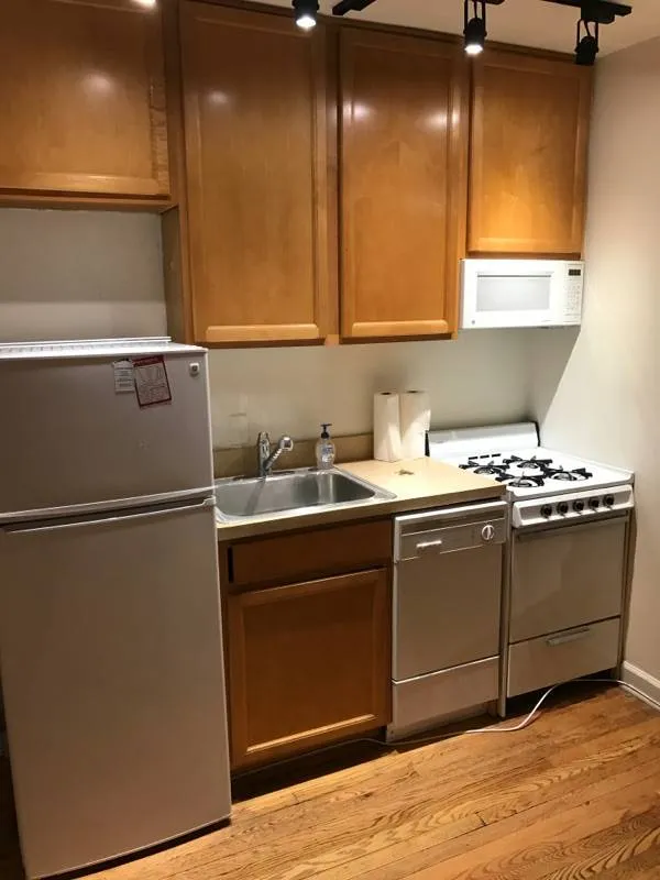754 W Wellington Ave 60657 60657-One Door West-unit#1E-Chicago-IL