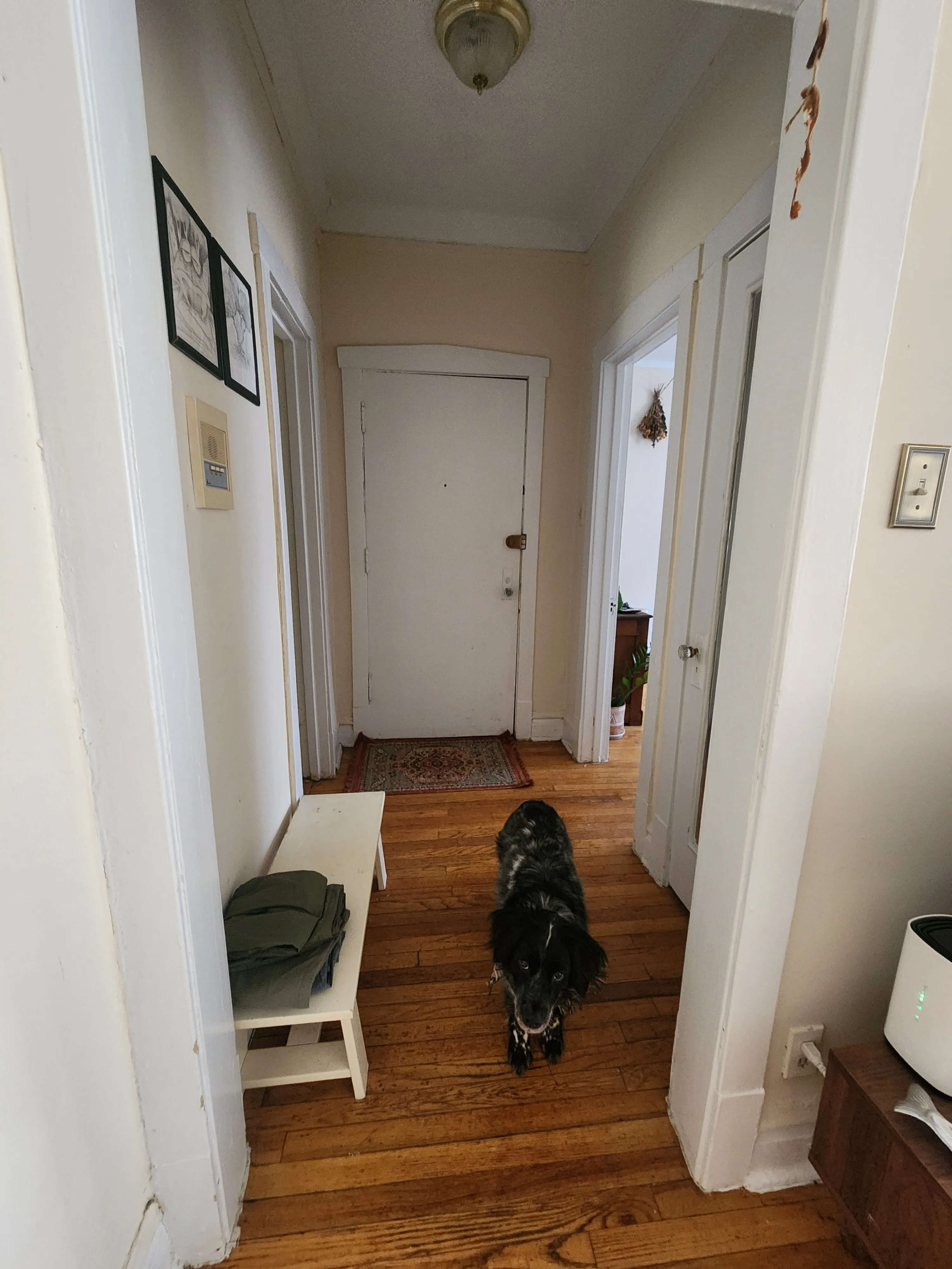 1041 W North Shore Ave   60626 60626-The Sands @ North Shore-unit#3-Chicago-IL