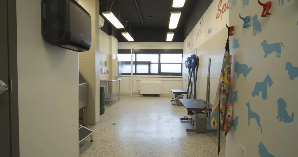 1130 S Michigan Ave   60605 60605-unit#311-Chicago-IL