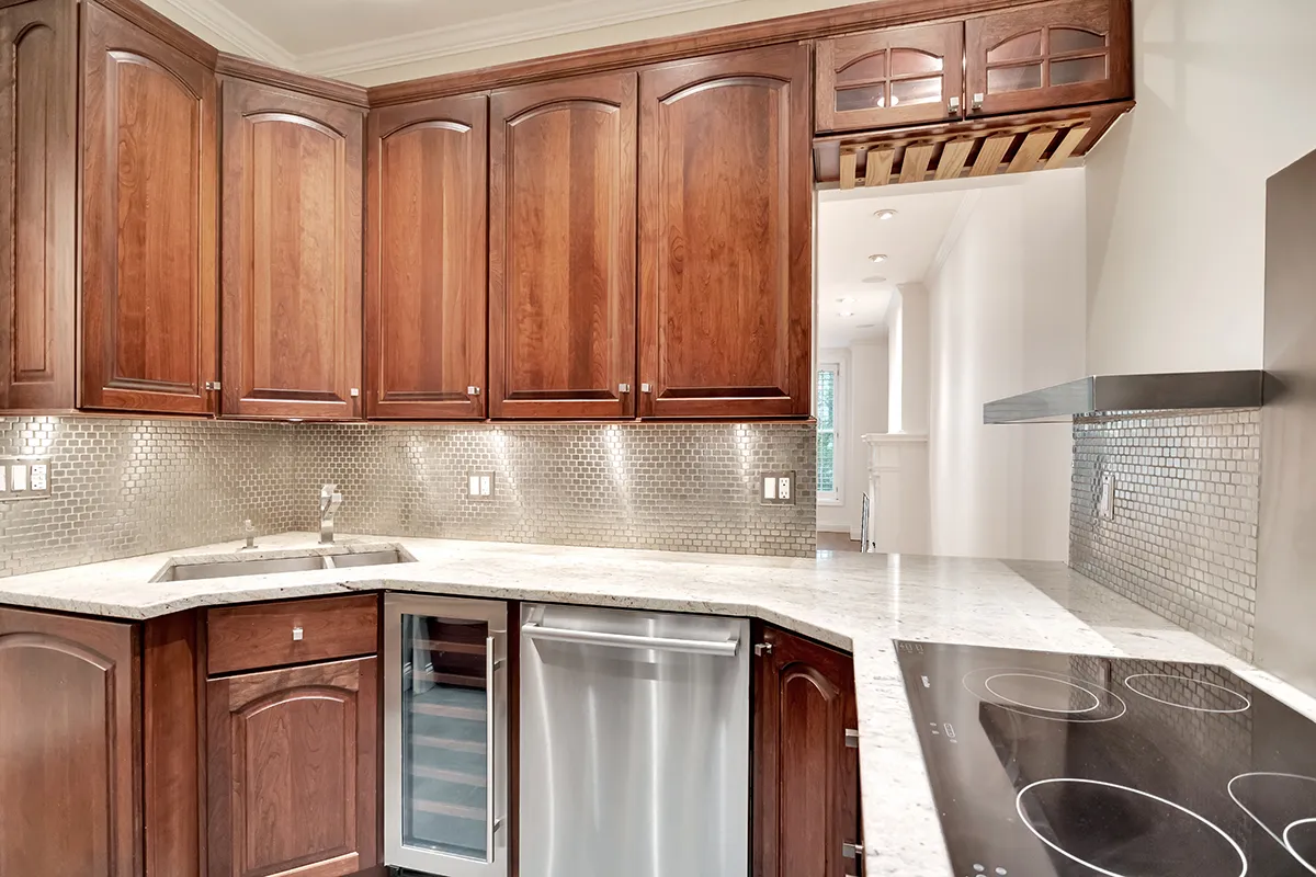 1228 N Dearborn St   60610 60610-The Vinnedge Condominium-unit#2-Chicago-IL