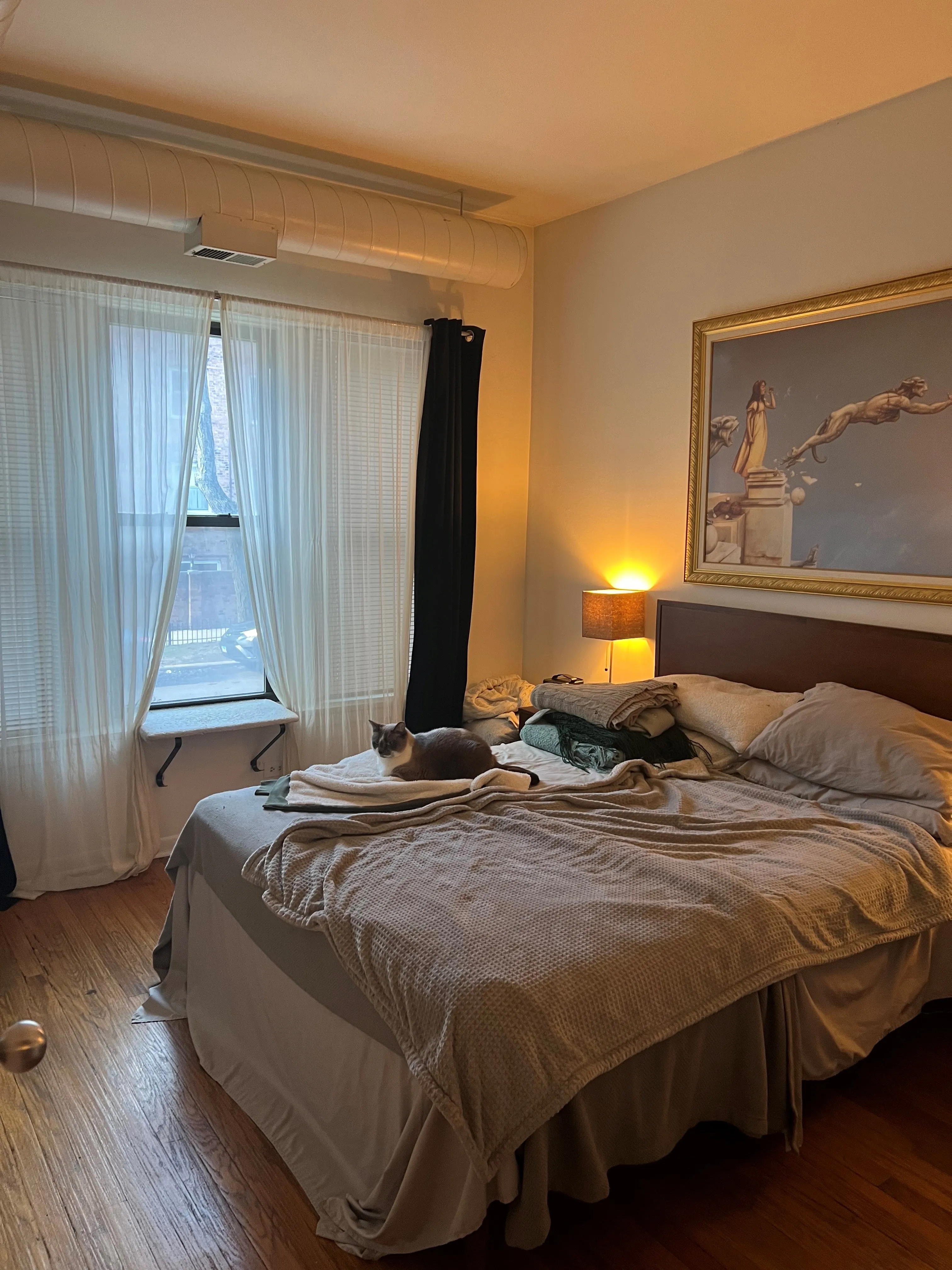 3707 N Pine Grove Ave   60613 60613-Pinegrove Pews-unit#1C-Chicago-IL