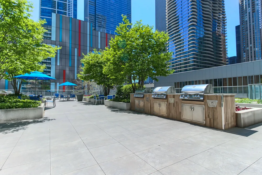 345 E Wacker Dr   60601 60601-unit#1106-Chicago-IL