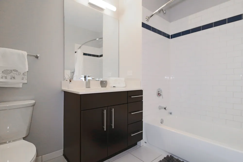 345 E Wacker Dr   60601 60601-unit#1106-Chicago-IL